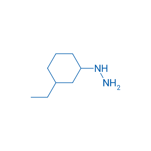 (3-Ethylcyclohexyl)hydrazine 1g