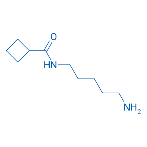 N-(5-Aminopentyl)cyclobutanecarboxamide 1g