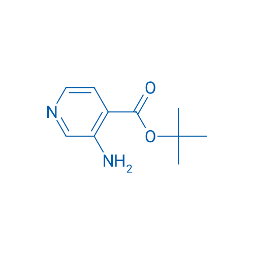 tert-Butyl 3-aminoisonicotinate 1g