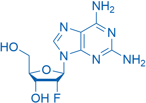 2-Amino-2-deoxy-2-fluoroadenosine 1g
