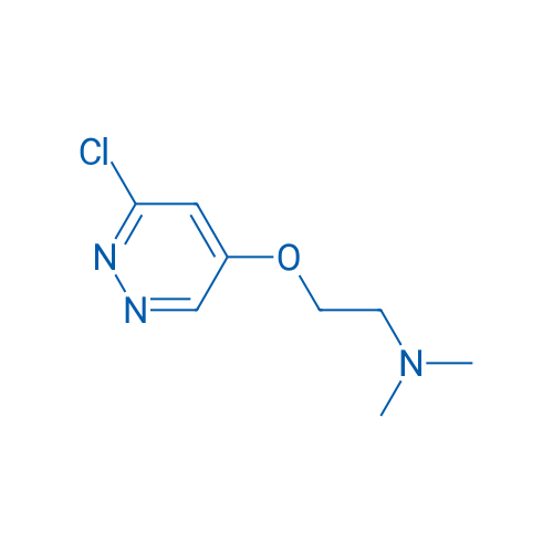 2-((6-Chloropyridazin-4-yl)oxy)-N,N-dimethylethanamine 1g