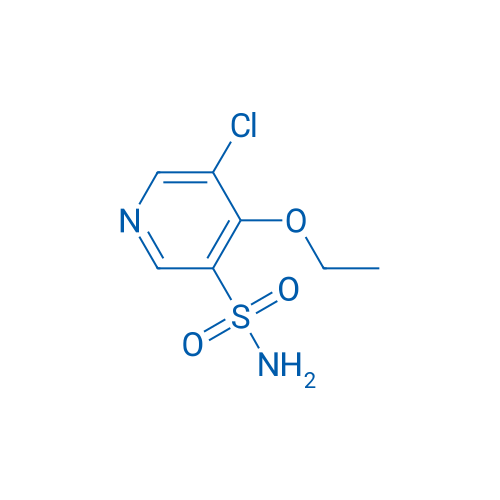 5-Chloro-4-ethoxypyridine-3-sulfonamide 1g