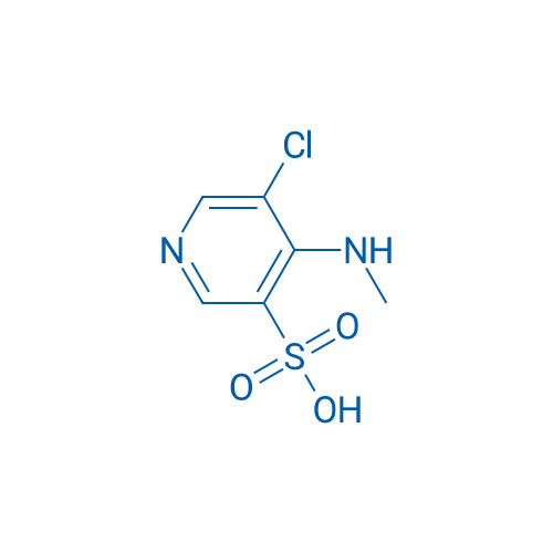 5-Chloro-4-(methylamino)pyridine-3-sulfonic acid 1g