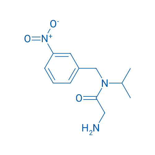 2-Amino-N-isopropyl-N-(3-nitrobenzyl)acetamide 1g