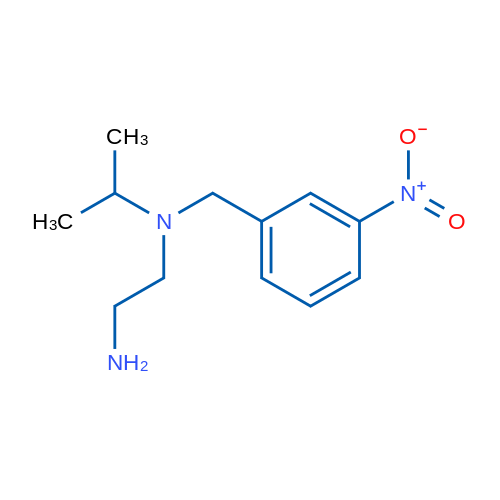 N1-Isopropyl-N1-(3-nitrobenzyl)ethane-1,2-diamine 1g