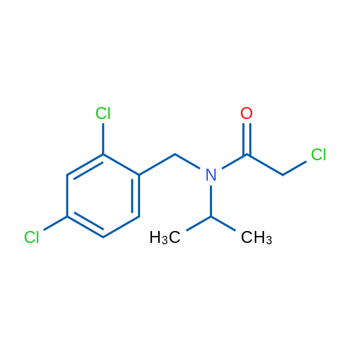 2-Chloro-N-(2,4-dichlorobenzyl)-N-isopropylacetamide 1g