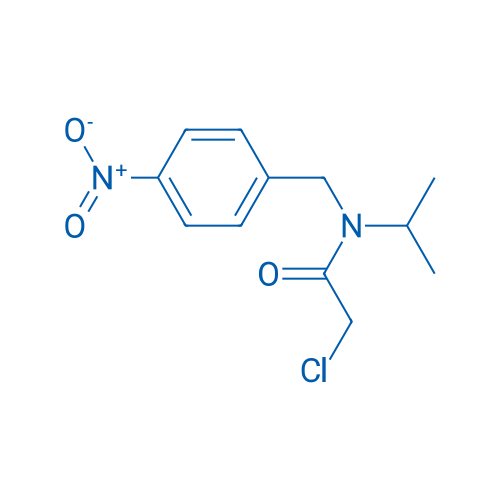 2-Chloro-N-isopropyl-N-(4-nitrobenzyl)acetamide 1g