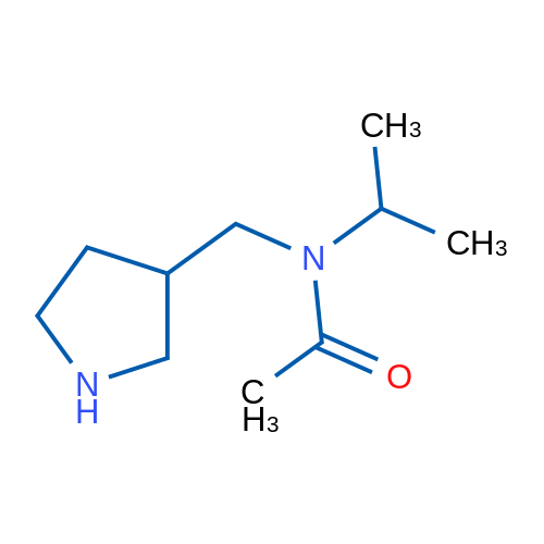 N-Isopropyl-N-(pyrrolidin-3-ylmethyl)acetamide 1g