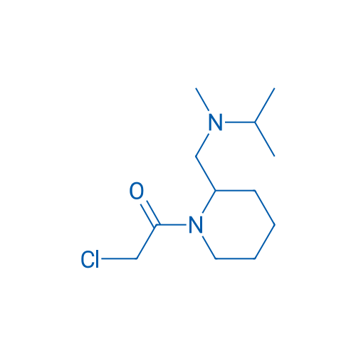 2-Chloro-1-(2-((isopropyl(methyl)amino)methyl)piperidin-1-yl)ethanone 1g