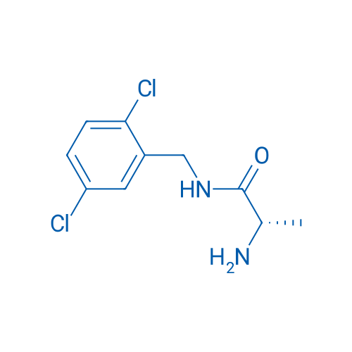(S)-2-Amino-N-(2,5-dichlorobenzyl)propanamide 1g