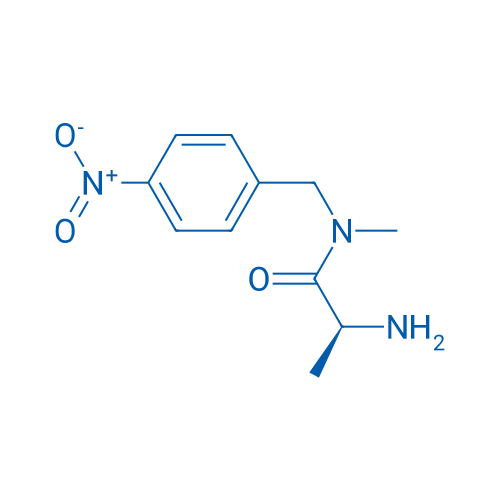 (S)-2-Amino-N-methyl-N-(4-nitrobenzyl)propanamide 1g