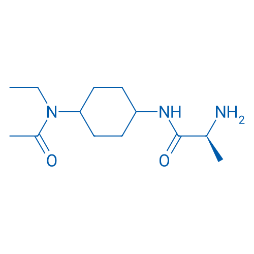 (S)-2-Amino-N-(4-(N-ethylacetamido)cyclohexyl)propanamide 1g