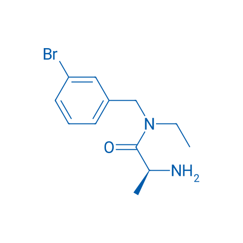 (S)-2-Amino-N-(3-bromobenzyl)-N-ethylpropanamide 1g
