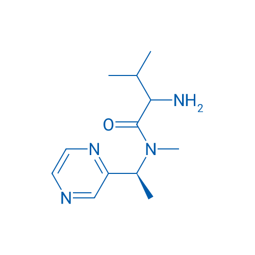2-Amino-N,3-dimethyl-N-((S)-1-(pyrazin-2-yl)ethyl)butanamide 1g