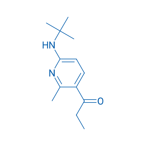 1-(6-(tert-Butylamino)-2-methylpyridin-3-yl)propan-1-one 1g