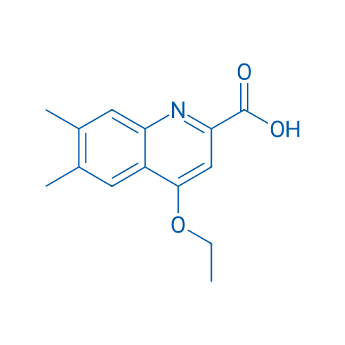 4-Ethoxy-6,7-dimethylquinoline-2-carboxylic acid 1g