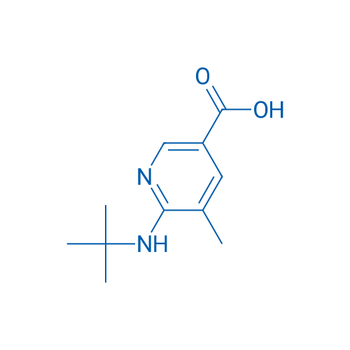 6-(tert-Butylamino)-5-methylnicotinic acid 1g
