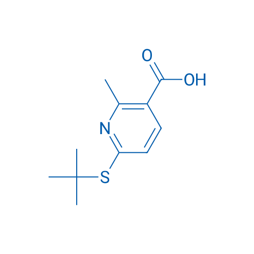 6-(tert-Butylthio)-2-methylnicotinic acid 1g
