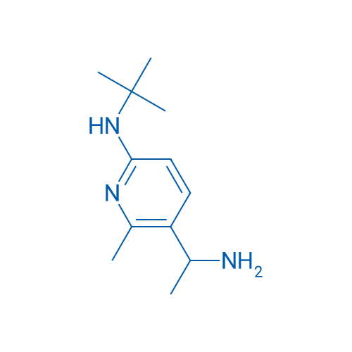 5-(1-Aminoethyl)-N-(tert-butyl)-6-methylpyridin-2-amine 1g