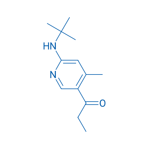 1-(6-(tert-Butylamino)-4-methylpyridin-3-yl)propan-1-one 1g