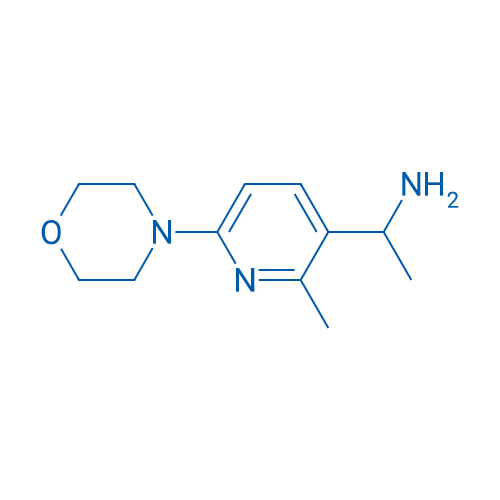 1-(2-Methyl-6-morpholinopyridin-3-yl)ethanamine 1g