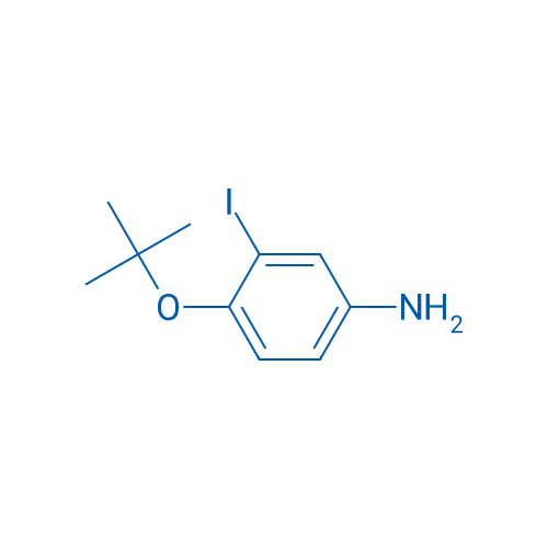 4-(tert-Butoxy)-3-iodoaniline 1g