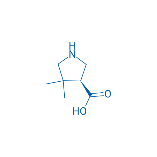 (3S)-4,4-Dimethyl-pyrrolidine-3-carboxylic acid 1g