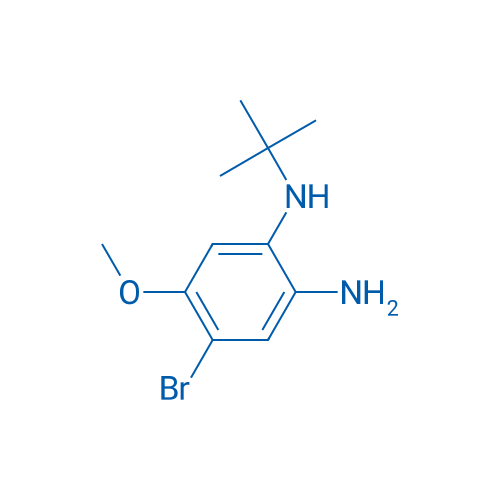 4-Bromo-N1-(tert-butyl)-5-methoxybenzene-1,2-diamine 1g