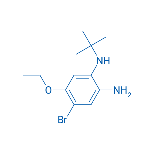4-Bromo-N1-(tert-butyl)-5-ethoxybenzene-1,2-diamine 1g