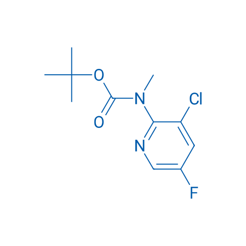 tert-Butyl (3-chloro-5-fluoropyridin-2-yl)(methyl)carbamate 1g