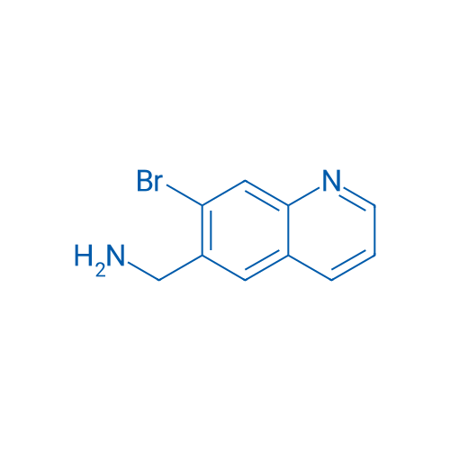 (7-Bromoquinolin-6-yl)methanamine 1g