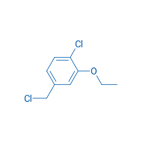 1-Chloro-4-(chloromethyl)-2-ethoxybenzene 1g