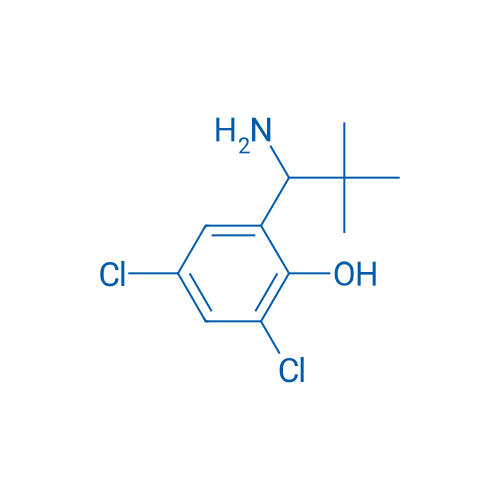 2-(1-Amino-2,2-dimethylpropyl)-4,6-dichlorophenol 1g