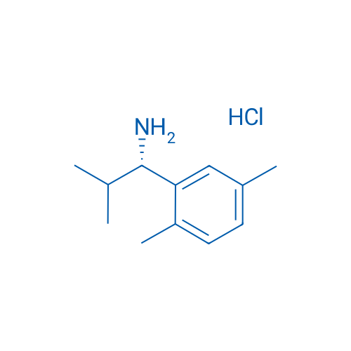 (S)-1-(2,5-Dimethylphenyl)-2-methylpropan-1-amine hydrochloride 1g
