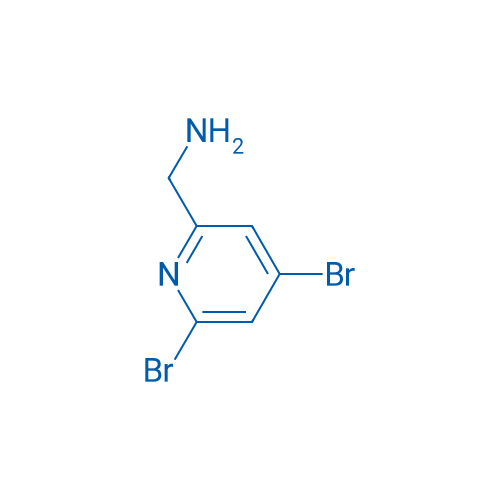 (4,6-Dibromopyridin-2-yl)methanamine 1g