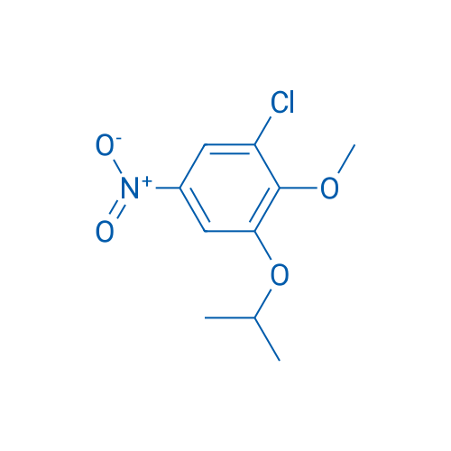 1-Chloro-2-methoxy-5-nitro-3-(propan-2-yloxy)benzene 1g