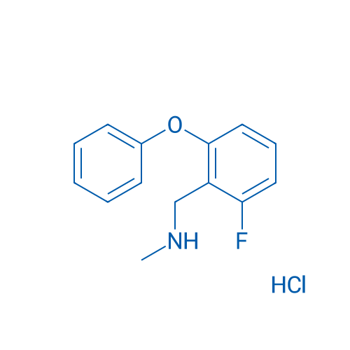 1-(2-Fluoro-6-phenoxyphenyl)-N-methylmethanamine hydrochloride 1g
