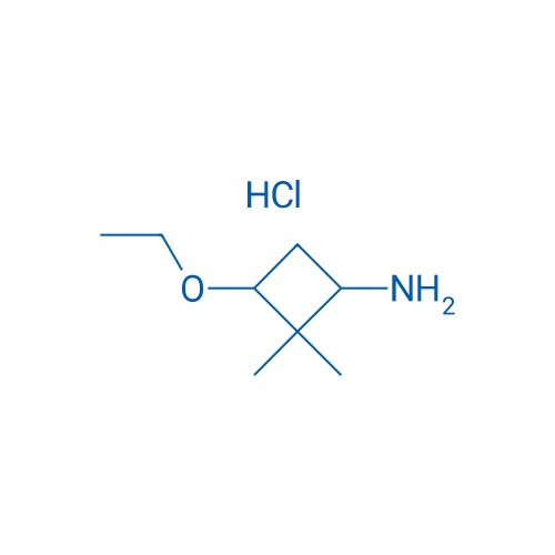 3-Ethoxy-2,2-dimethylcyclobutan-1-amine hydrochloride 1g