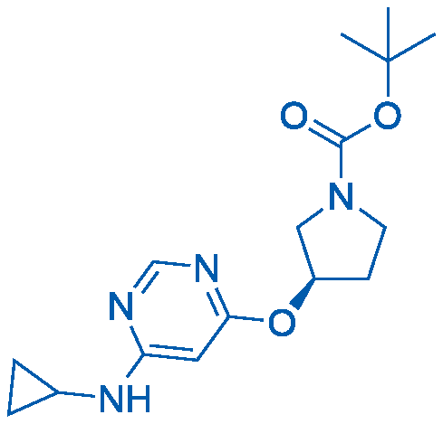 (R)-tert-Butyl 3-((6-(cyclopropylamino)pyrimidin-4-yl)oxy)pyrrolidine-1-carboxylate 100mg