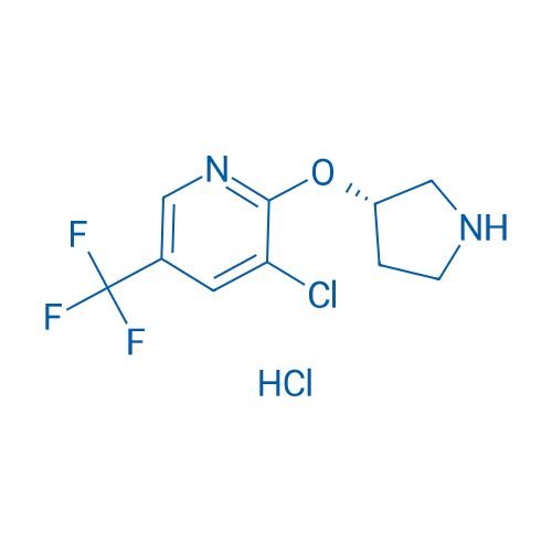 (S)-3-Chloro-2-(pyrrolidin-3-yloxy)-5-(trifluoromethyl)pyridine hydrochloride 100mg
