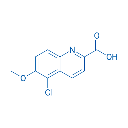 5-Chloro-6-methoxyquinoline-2-carboxylic acid 1g