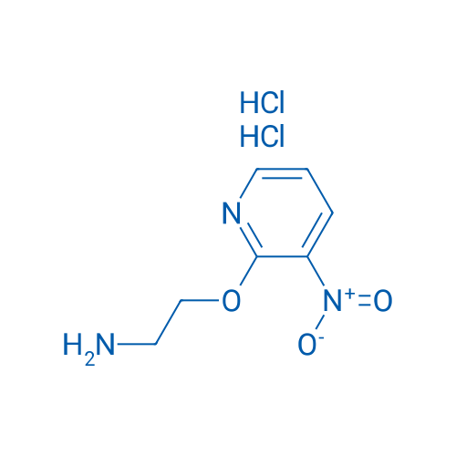 2-(2-Aminoethoxy)-3-nitropyridine dihydrochloride 5g