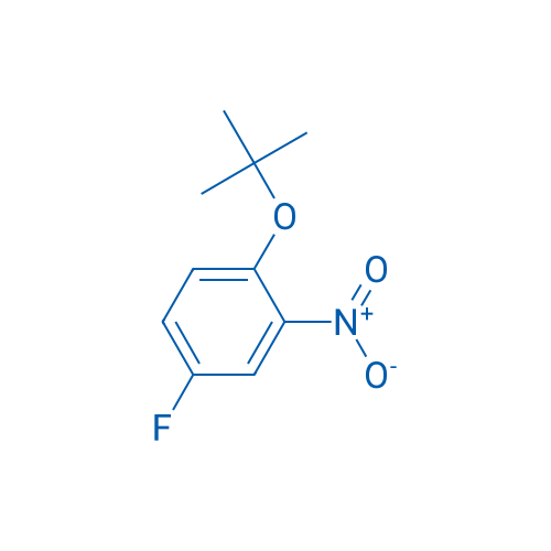 1-(tert-Butoxy)-4-fluoro-2-nitrobenzene 1g
