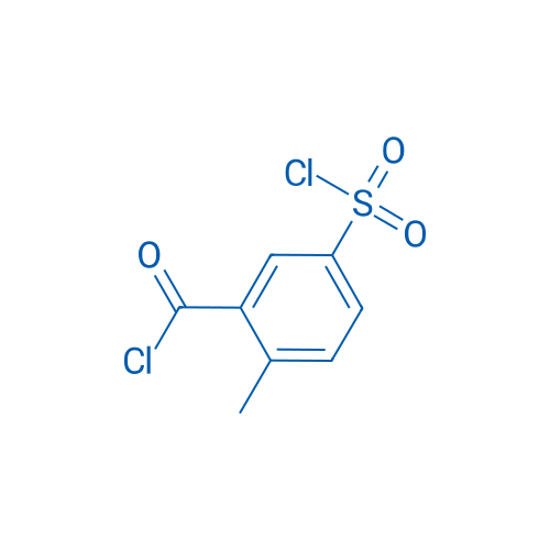 5-(Chlorosulfonyl)-2-methylbenzoyl chloride 1g