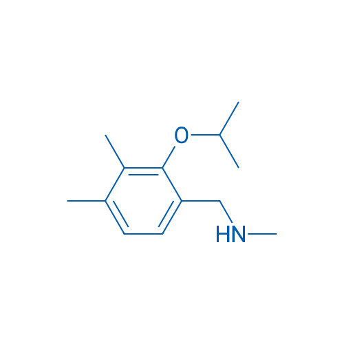 1-(2-Isopropoxy-3,4-dimethylphenyl)-N-methylmethanamine 1g