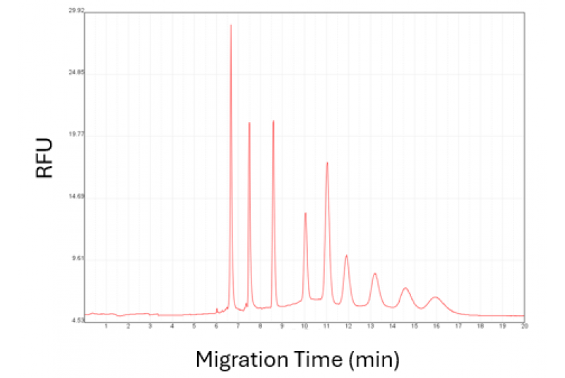 High Range RNA Ladder