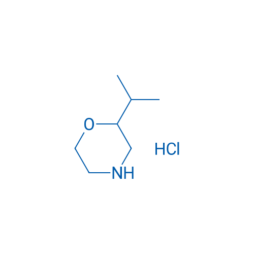 2-Isopropylmorpholine hydrochloride 1g