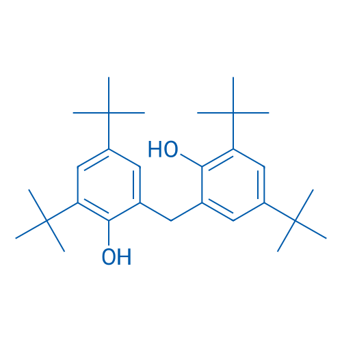 6,6'-Methylenebis(2,4-di-tert-butylphenol) 1000g