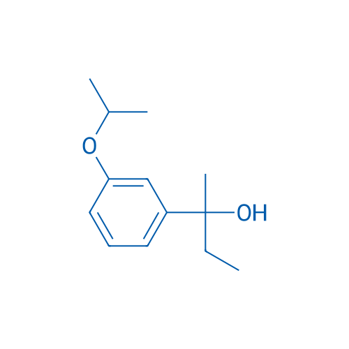 2-(3-Isopropoxyphenyl)butan-2-ol 1g