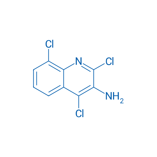 2,4,8-Trichloroquinolin-3-amine 1g